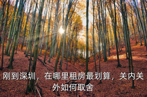深圳白領都在哪里,對于在深圳白領工作來說