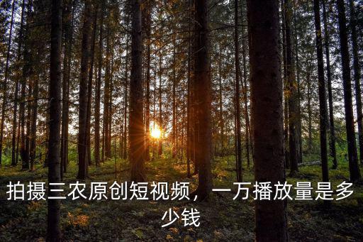 拍攝三農原創短視頻，一萬播放量是多少錢