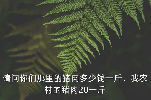 請問你們那里的豬肉多少錢一斤，我農村的豬肉20一斤