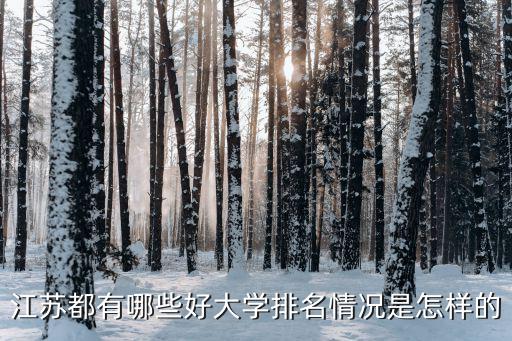 江蘇都有哪些好大學(xué)排名情況是怎樣的