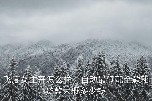 湛江市飛度貸款落地多少錢,18款飛度落地多少錢