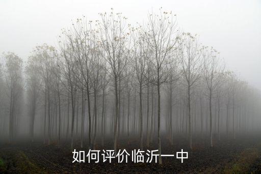 如何評價臨沂一中