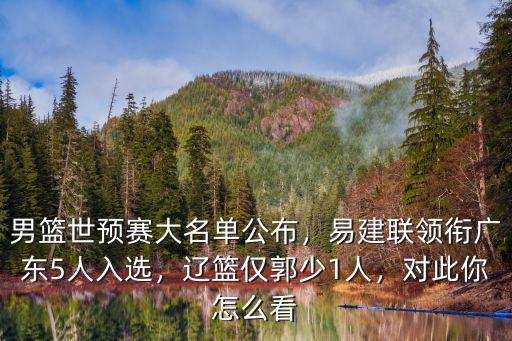 男籃世預賽大名單公布，易建聯領銜廣東5人入選，遼籃僅郭少1人，對此你怎么看