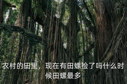 農(nóng)村的田里，現(xiàn)在有田螺撿了嗎什么時(shí)候田螺最多