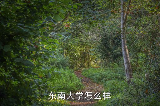 南京東南大學準考證號多少,南京東南大學怎么樣