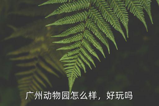 廣州哪里生日好玩,廣州動物園怎么樣
