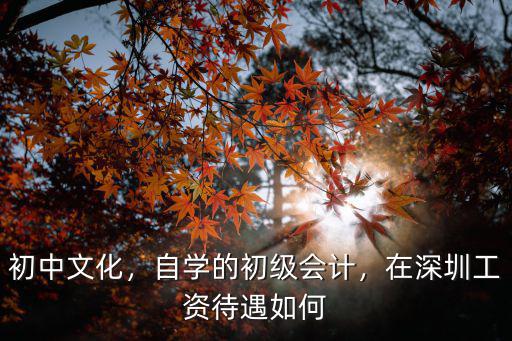 初中文化，自學的初級會計，在深圳工資待遇如何