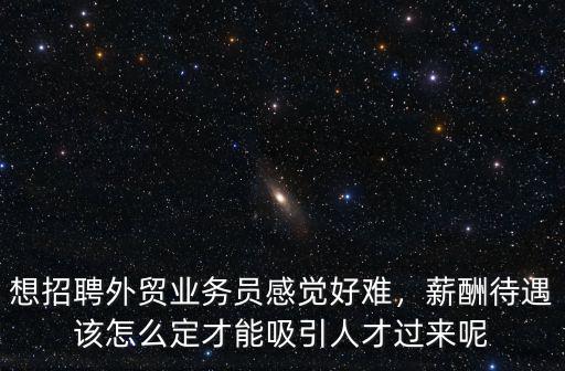想招聘外貿業務員感覺好難，薪酬待遇該怎么定才能吸引人才過來呢