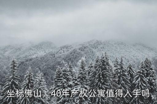 佛山哪里公寓值得買,40年產(chǎn)權(quán)公寓值得入手嗎