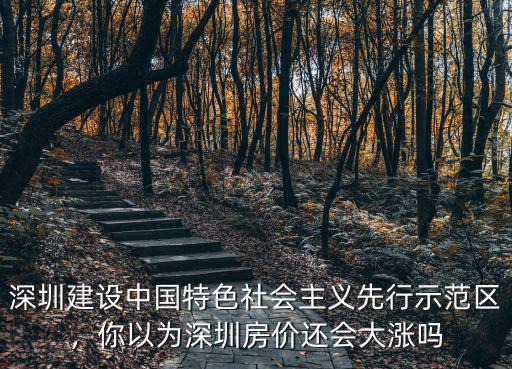 深圳建設中國特色社會主義先行示范區，你以為深圳房價還會大漲嗎