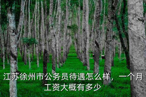 江蘇公務(wù)員1年多少工資,江蘇徐州市公務(wù)員待遇怎么樣