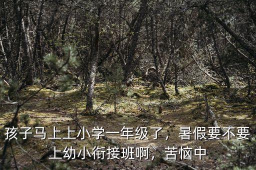 孩子馬上上小學一年級了，暑假要不要上幼小銜接班啊，苦惱中