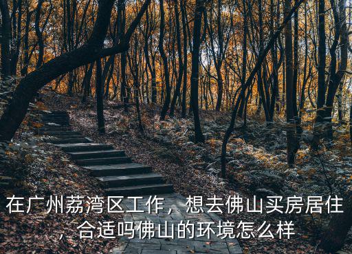 佛山工作及定居怎么樣,在廣州荔灣區工作