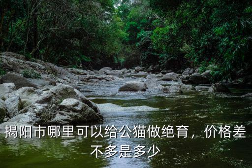 揭陽市哪里可以給公貓做絕育，價格差不多是多少