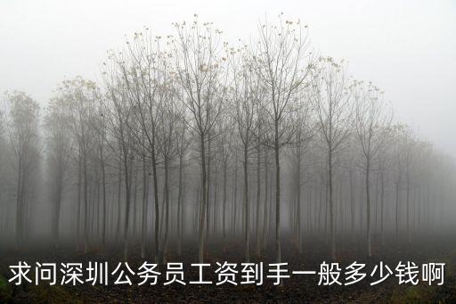 深圳棟號長工資大概多少錢一個月,工資一個月有多少錢