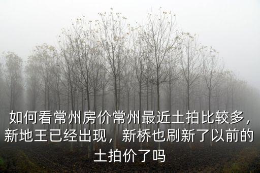 常州小新橋房價多少,常州最近土拍比較多