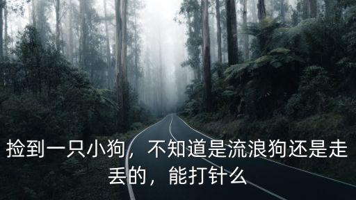 撿到一只小狗，不知道是流浪狗還是走丟的，能打針么
