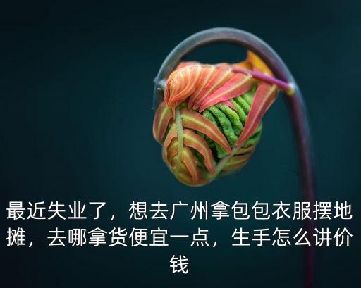 最近失業了，想去廣州拿包包衣服擺地攤，去哪拿貨便宜一點，生手怎么講價錢
