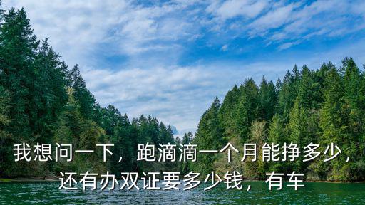 梅州豐順跑滴滴一個月多少錢,跑滴滴一個月能掙多少