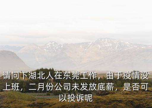 請問下湖北人在東莞工作，由于疫情沒上班，二月份公司未發放底薪，是否可以投訴呢