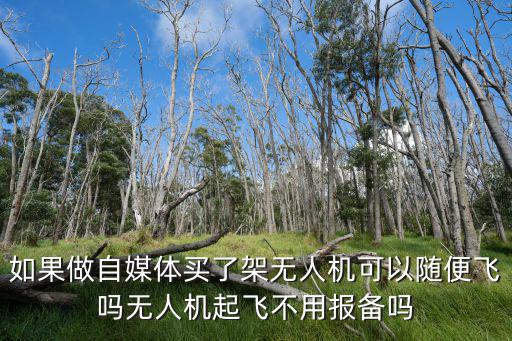 無人機飛廣州怎么報備,新疆北疆能不能飛無人機