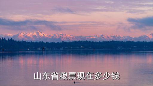山東省糧票現(xiàn)在多少錢