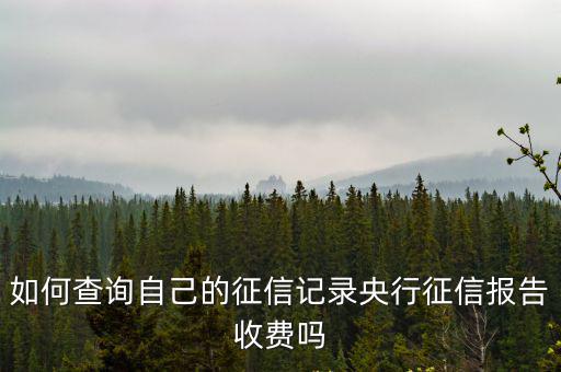 如何查詢自己的征信記錄央行征信報告收費嗎