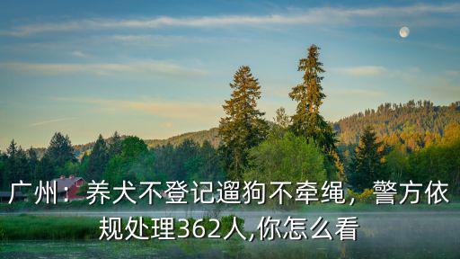 廣東養狗不牽繩警察怎么處理,養犬不登記遛狗不牽繩