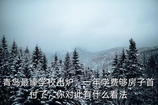 青島耀中國(guó)際學(xué)校學(xué)費(fèi)一年多少,青島最壕學(xué)校出爐