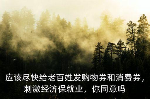 應(yīng)該盡快給老百姓發(fā)購物券和消費(fèi)券，刺激經(jīng)濟(jì)保就業(yè)，你同意嗎