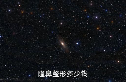 隆鼻整形多少錢