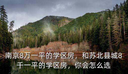 南京8萬一平的學(xué)區(qū)房，和蘇北縣城8千一平的學(xué)區(qū)房，你會怎么選