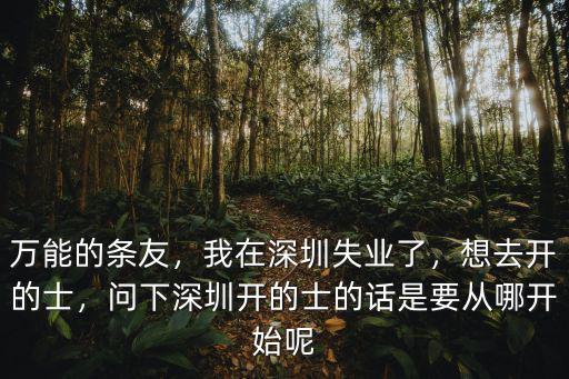 深圳沙井開出租車怎么樣,在深圳開出租車有什么條件