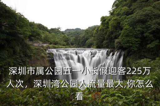 深圳灣公園怎么游玩,深圳灣公園人流量最大