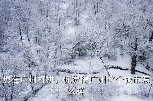 廣州天上人間怎么樣,你覺得廣州這個城市怎么樣