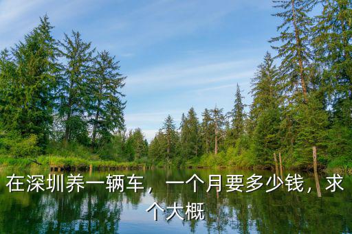 在深圳養一輛車，一個月要多少錢，求個大概