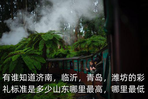 有誰知道濟南，臨沂，青島，濰坊的彩禮標準是多少山東哪里最高，哪里最低
