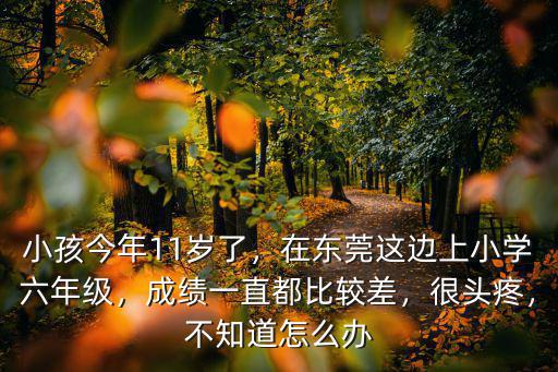 東莞有多少六年級學生,在東莞這邊上小學六年級