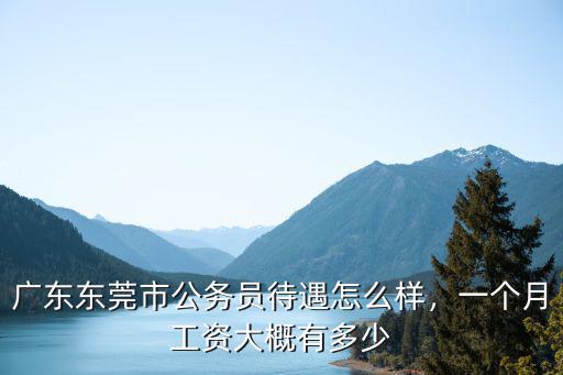 廣東東莞市公務員待遇怎么樣，一個月工資大概有多少