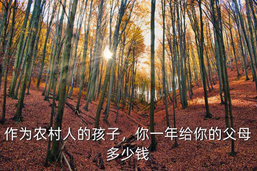 作為農村人的孩子，你一年給你的父母多少錢