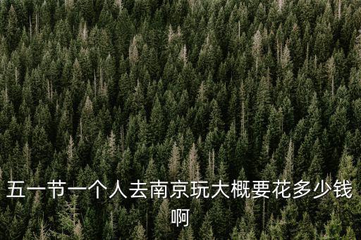 南京一年花多少錢啊,在南京上大學(xué)一年要花多少錢