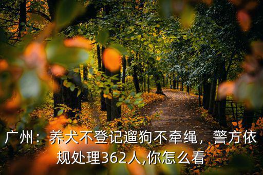 廣州警方怎么處理許靜,廣州警方依規處理362人