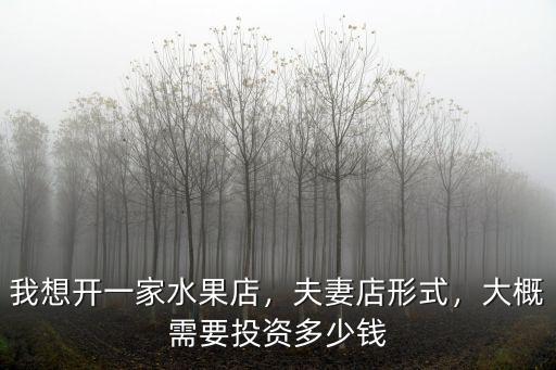 我想開一家水果店，夫妻店形式，大概需要投資多少錢