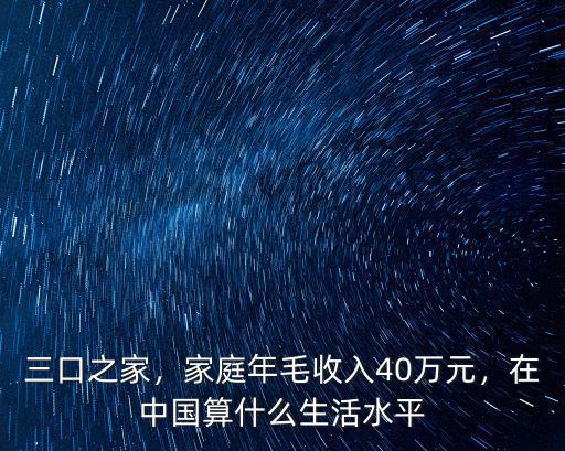 三口之家，家庭年毛收入40萬元，在中國算什么生活水平
