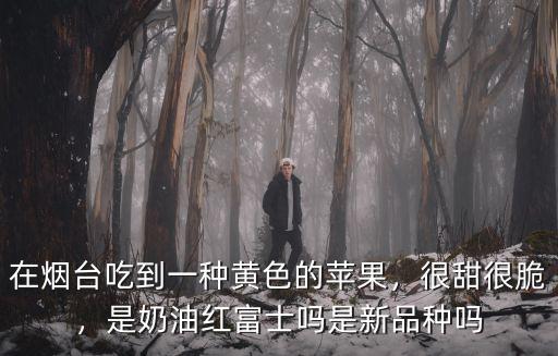在煙臺吃到一種黃色的蘋果，很甜很脆，是奶油紅富士嗎是新品種嗎