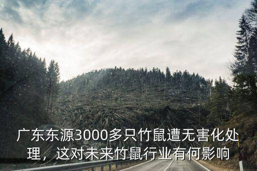 廣東省哪里有竹鼠,哪里有竹鼠賣