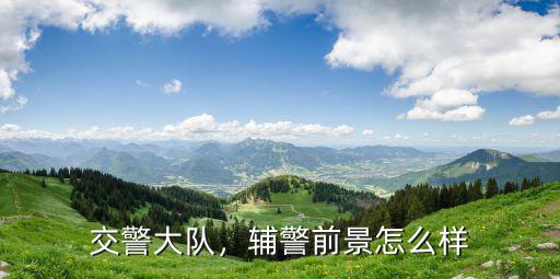 交警大隊，輔警前景怎么樣