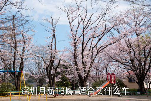 深圳月薪13000怎么樣,月薪14000左右