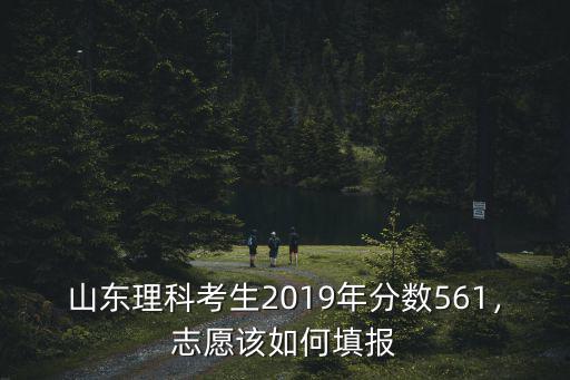 山東理科考生2019年分數561，志愿該如何填報