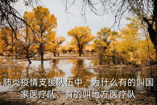 肺炎疫情支援隊伍中，為什么有的叫國家醫療隊，有的叫地方醫療隊